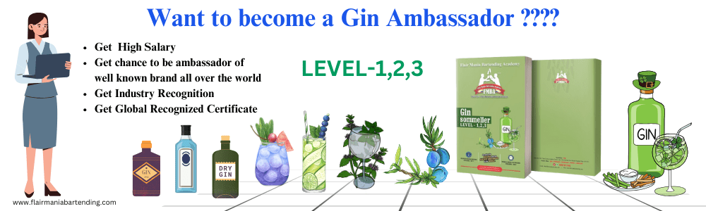 Flair Mania Gin Ambassador Course In Pune