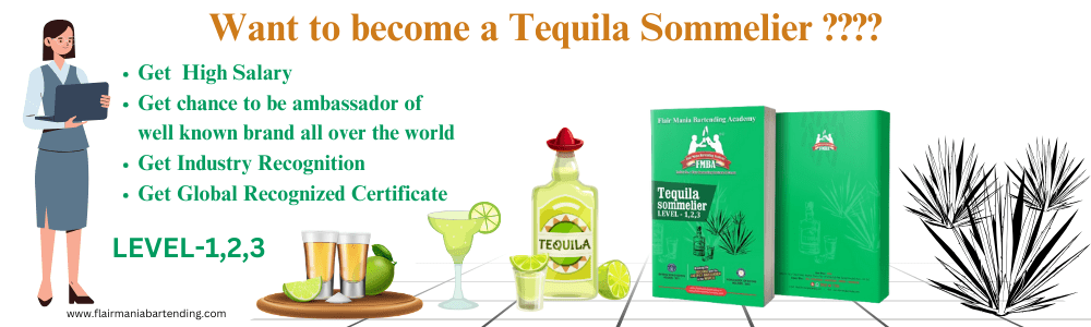 Flair Mania Tequila Ambassador Course In Pune